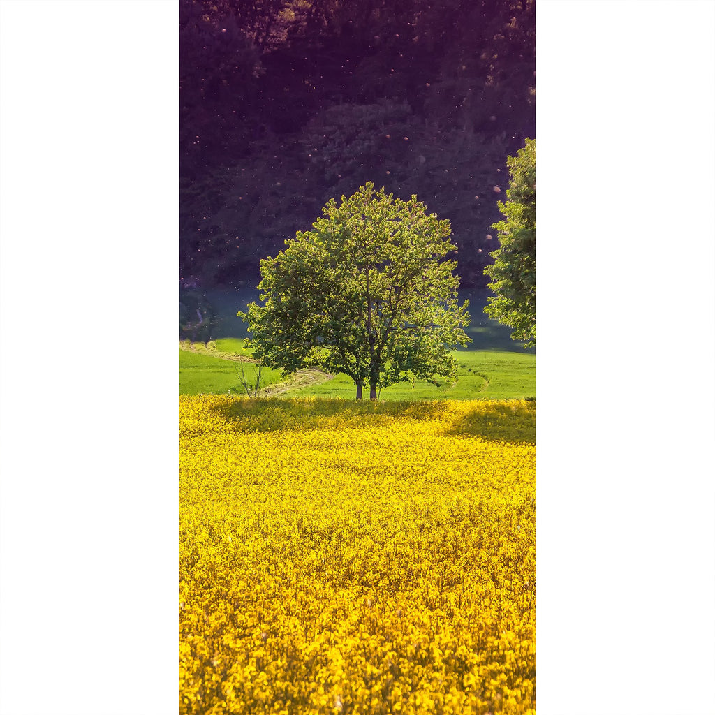 Rapsfeld